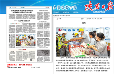 快盈VIII西北集团珑樾府项目高温慰问——《陕西日报》